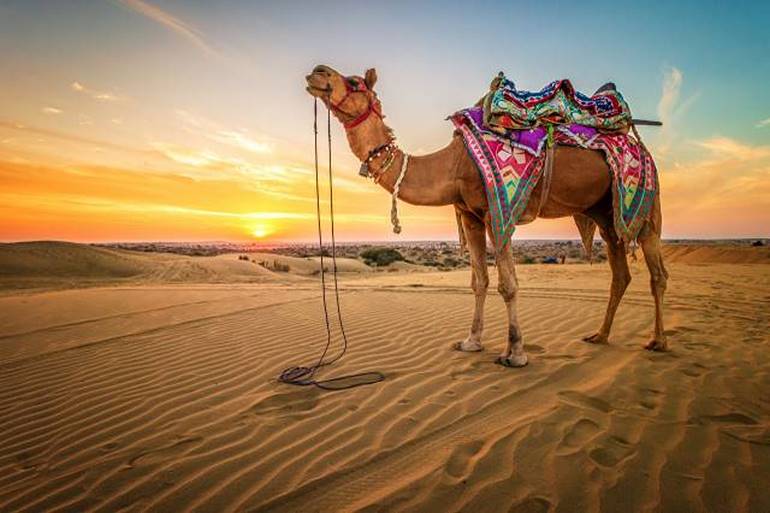 پلیکیشن ترند جدید گردشگری جهان